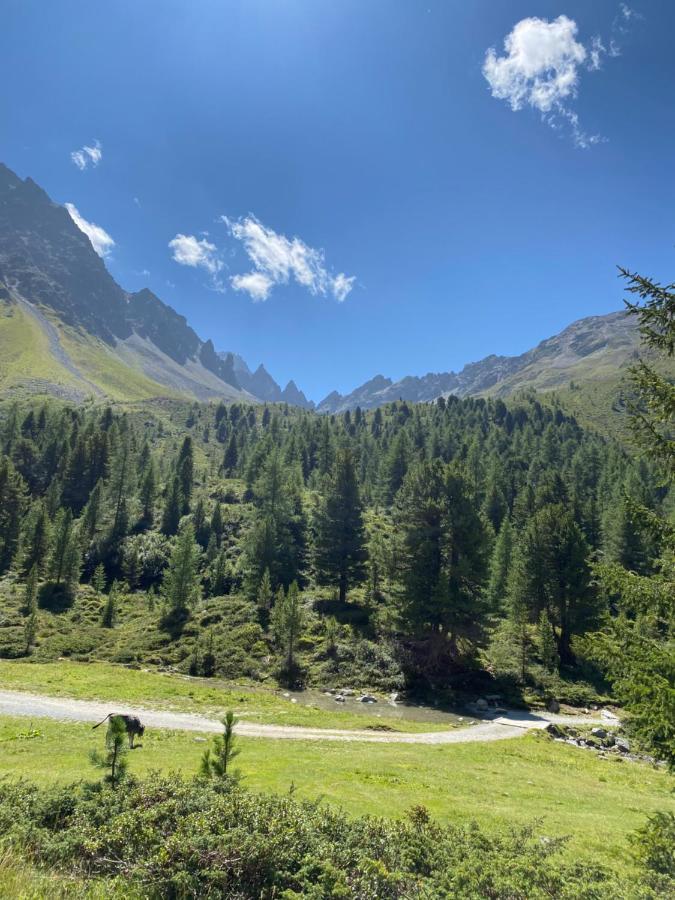 Apart Wiesenplatzl Каунертал Екстериор снимка